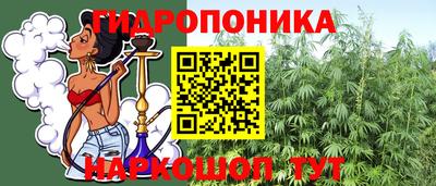 шишки Мариинск