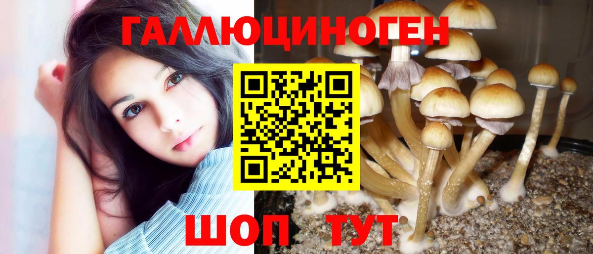 Псилоцибиновые грибы Psilocybine cubensis  Вход с VPN  Тавда 