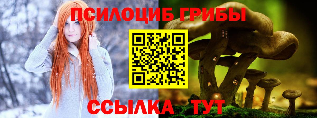 Псилоцибиновые грибы Magic Shrooms Тавда